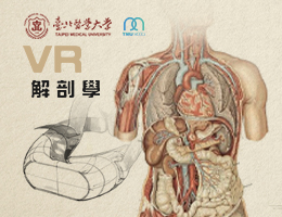 VR解剖學（2025春季班）