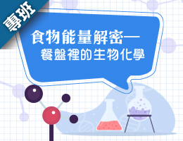 食物能量解密（2025春季班）